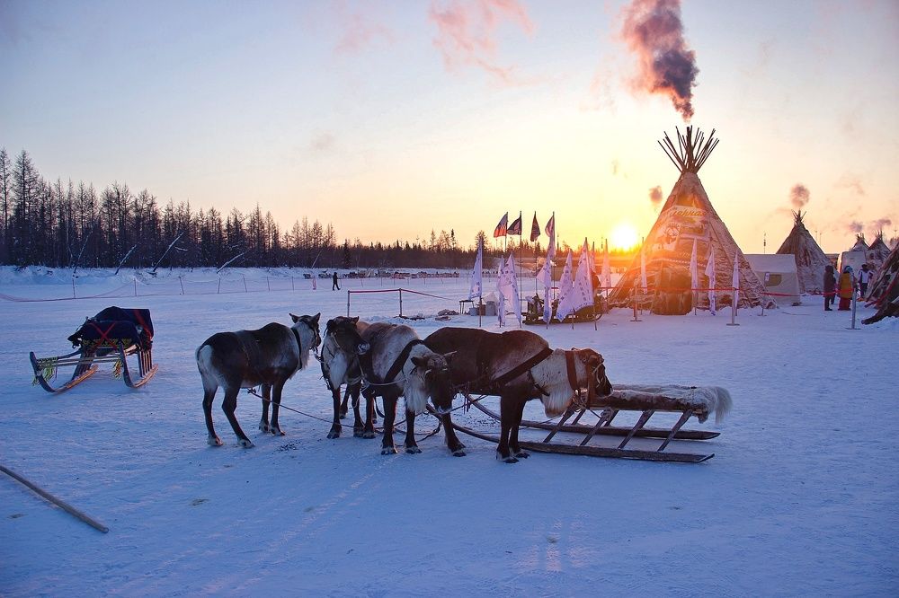 День оленевода.