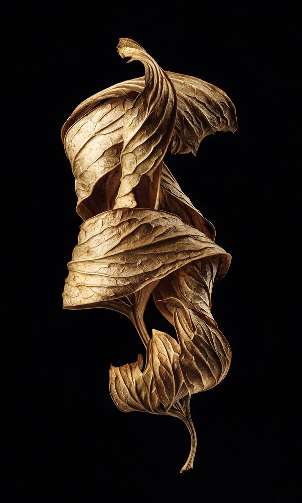 Photograph by Дёгтев Евгений