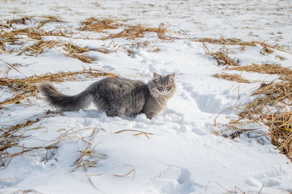 Photograph by Елизавета Гаранжа
