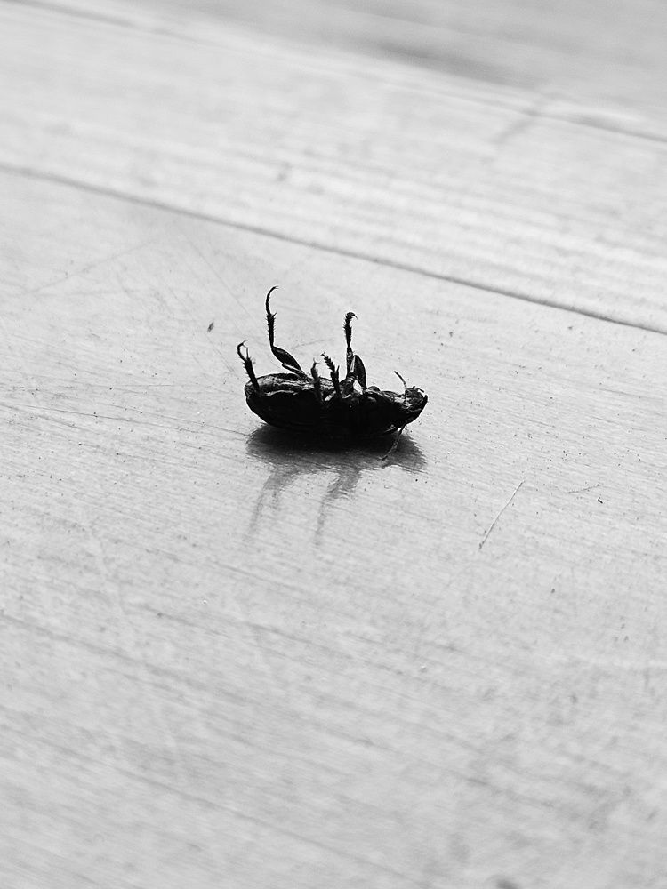 Photograph by Ирина Никулина