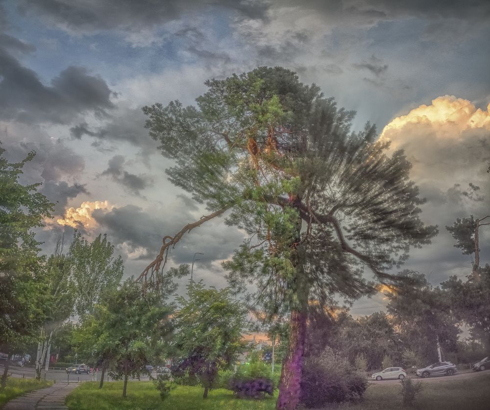 Фотография автора Semashko Stas