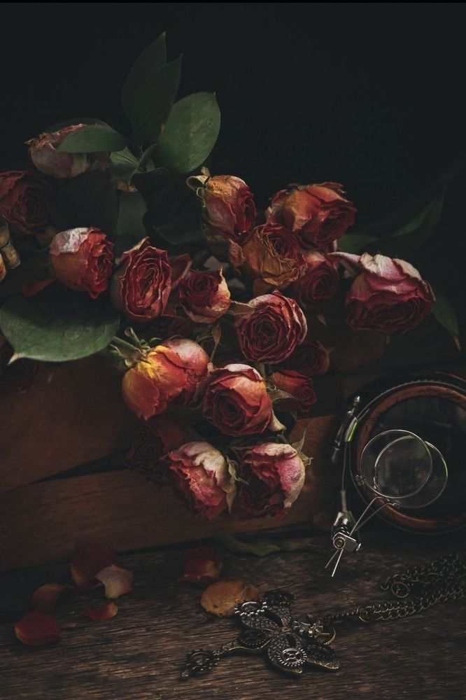 Photograph by Дарья