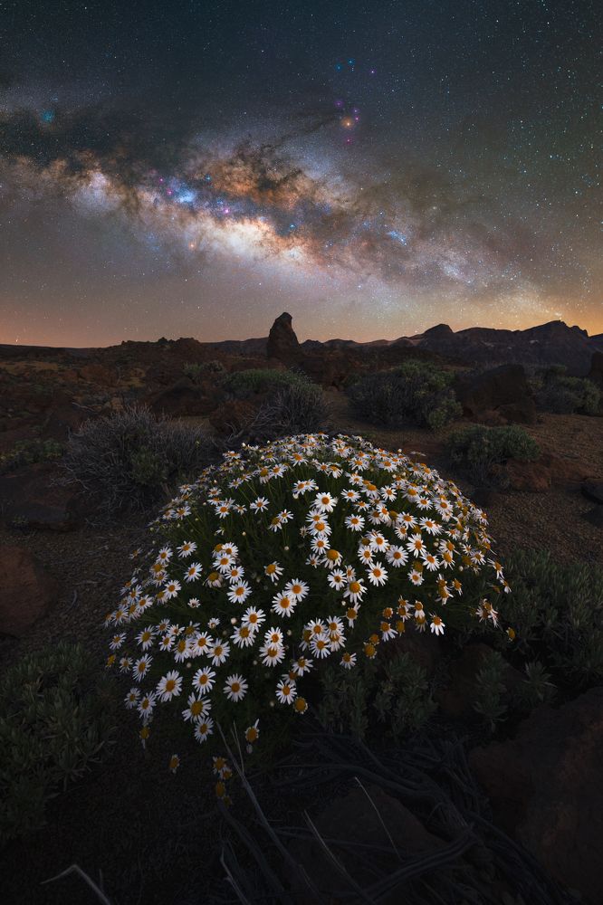 Photograph by Matteo Strassera