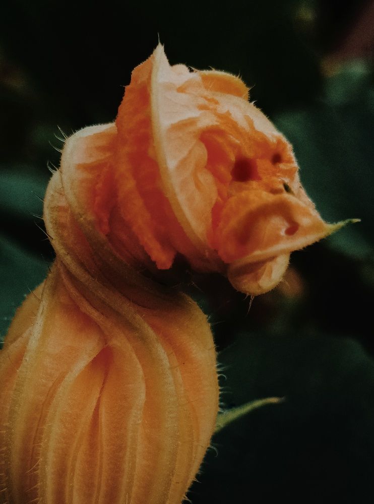 Фотография автора Ольга Кунакова