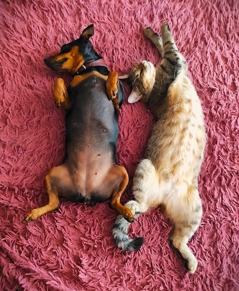 Photograph by Людмила Ваганова