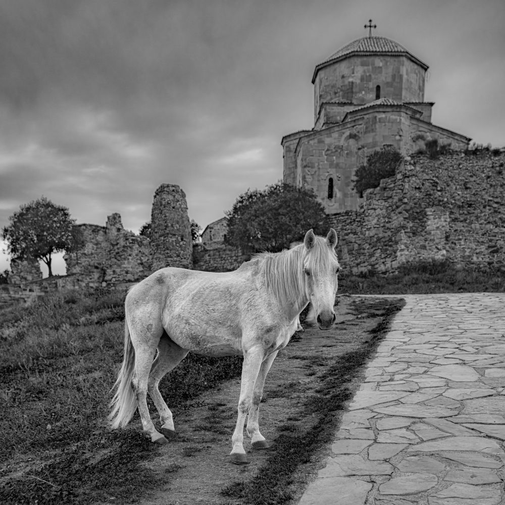 Photograph by Лазарев Сергей