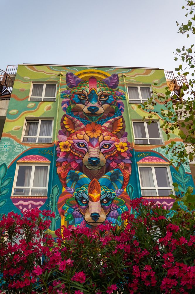 Photograph by Ольга Салтыкова