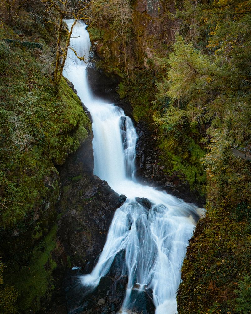 Photograph by François Charbonnel