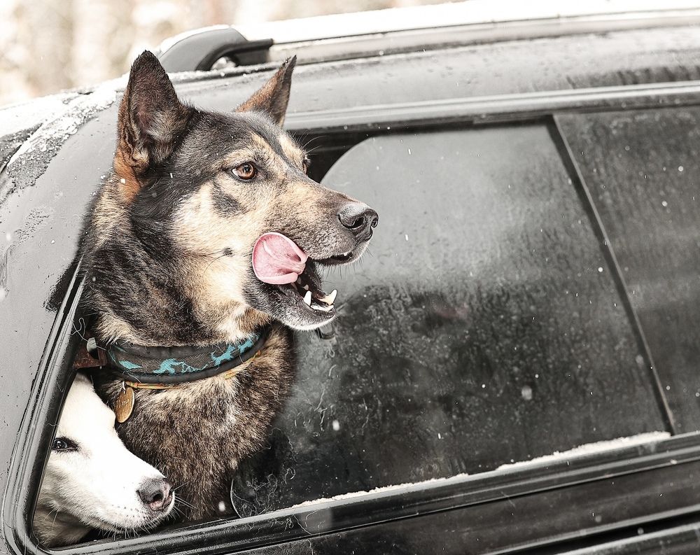 Photograph by Елена Одынец