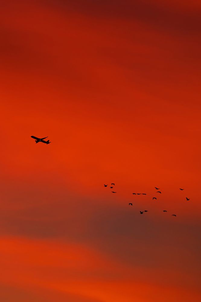 Photograph by Alexander Omelchuk