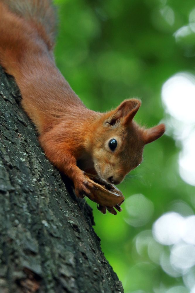 Фотография автора Светлана