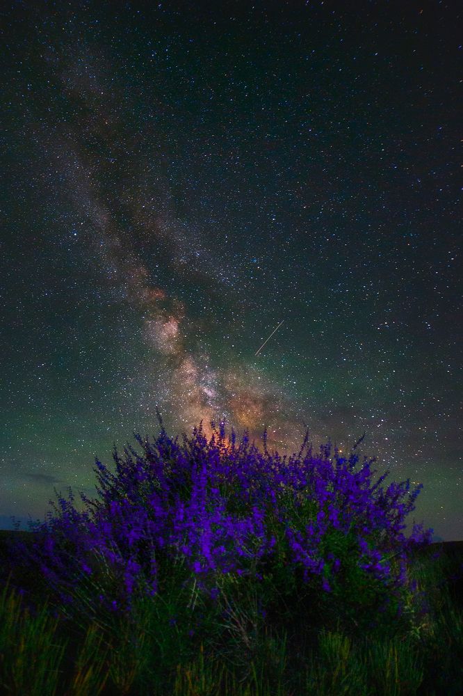 Время мечтать