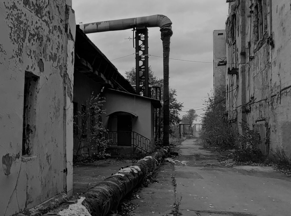 Photograph by Елена Юдина