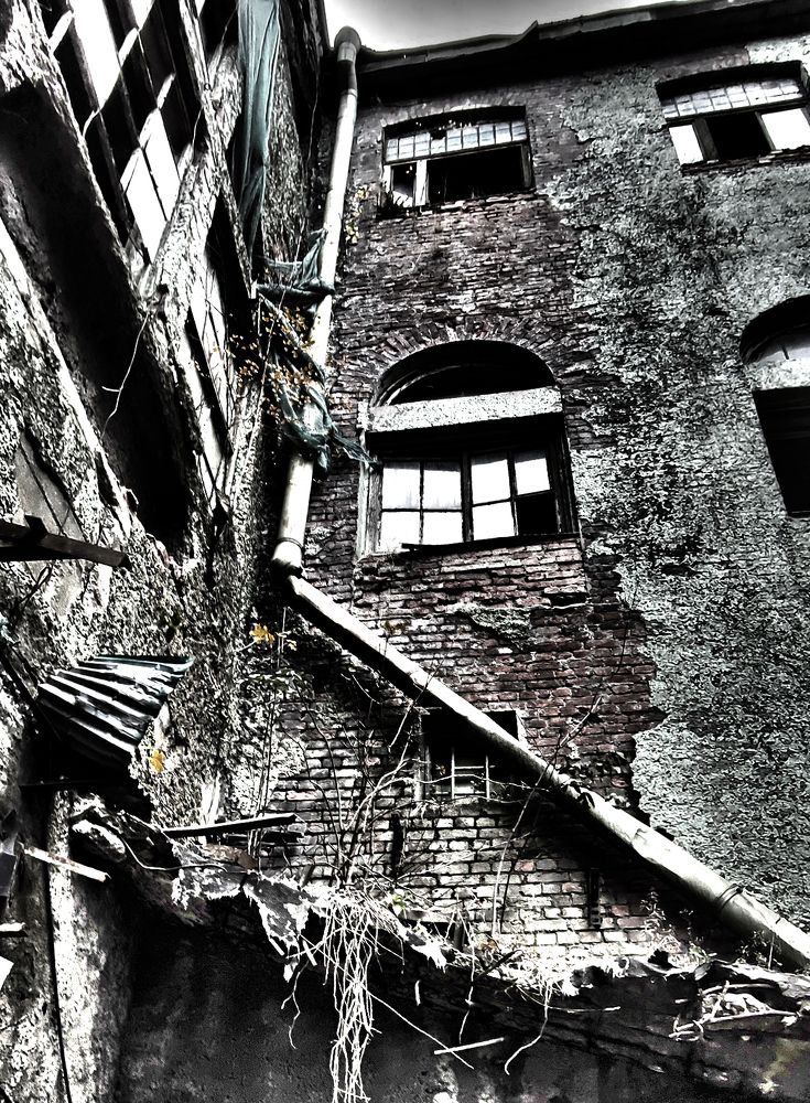 Photograph by Елена Юдина