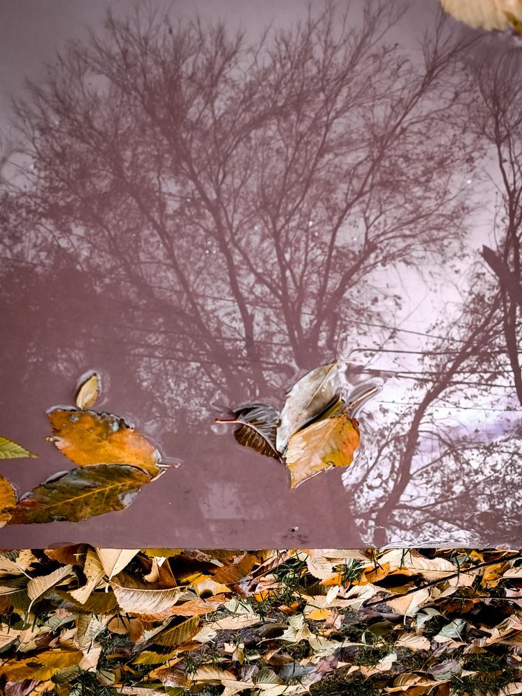 Photograph by Людмила Худякова