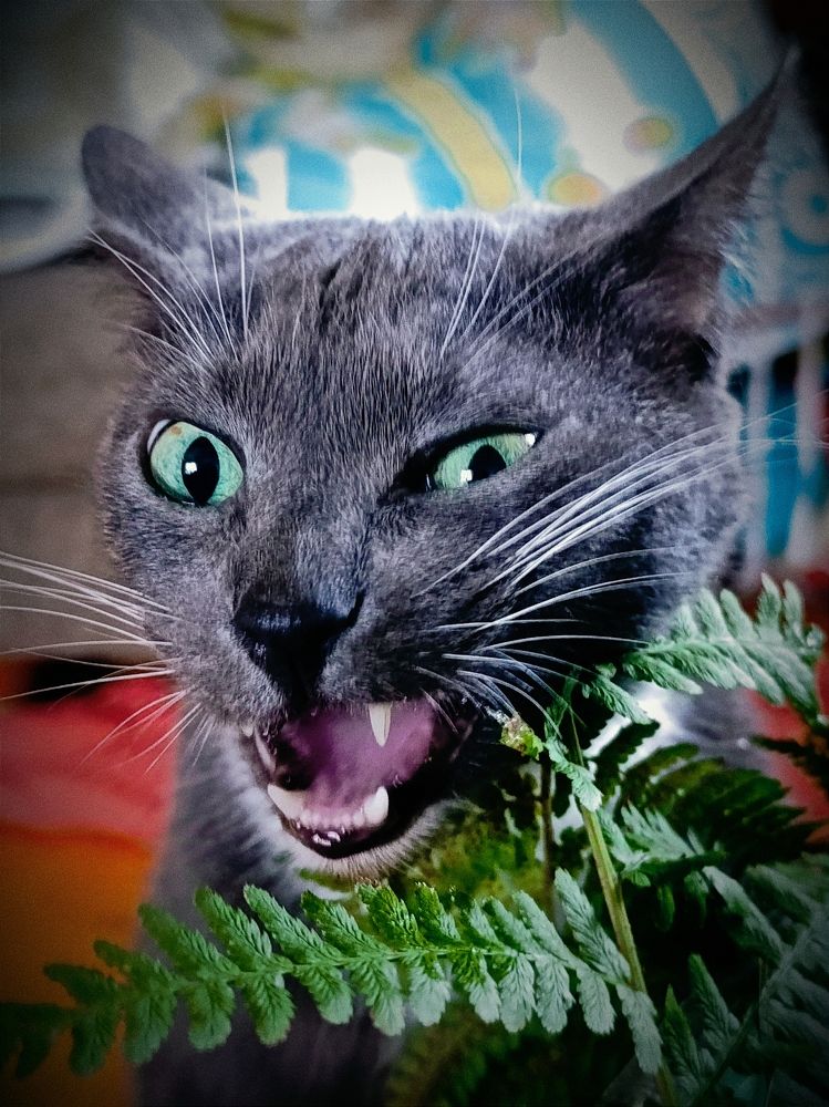 Photograph by Светлана Таркан