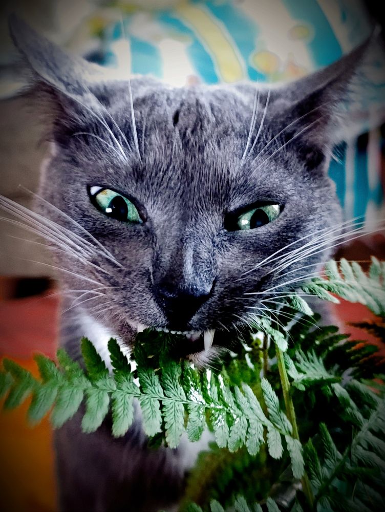 Photograph by Светлана Таркан