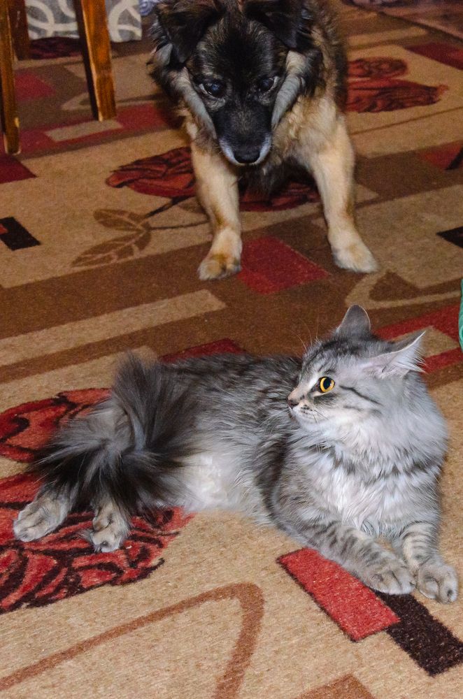 Photograph by Сергей Шистеров