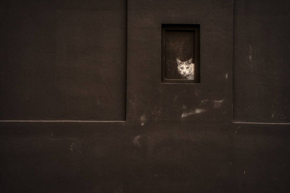 Photograph by David Solodar