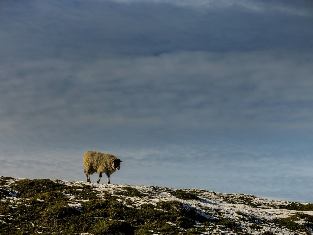 Photograph by Viviana García