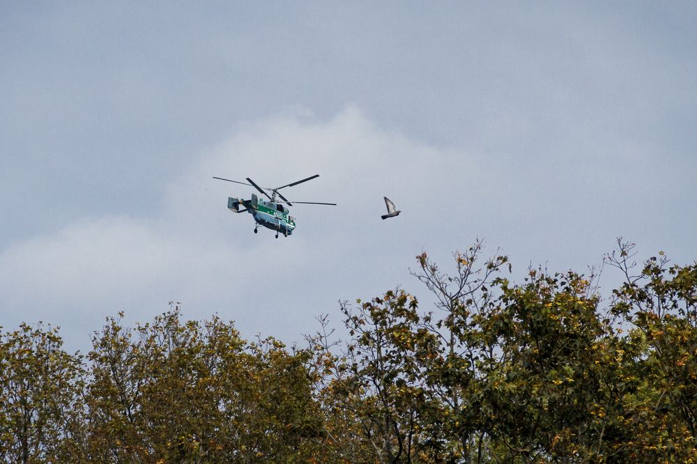 Photograph by Pavel Gukov