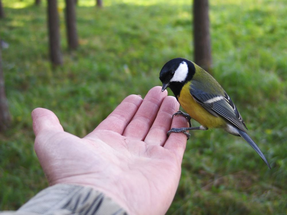 Photograph by Pavel Gukov