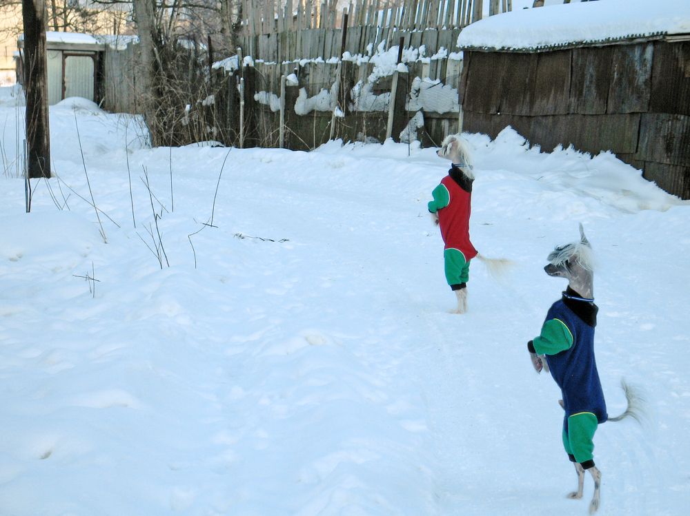 Photograph by Pavel Gukov