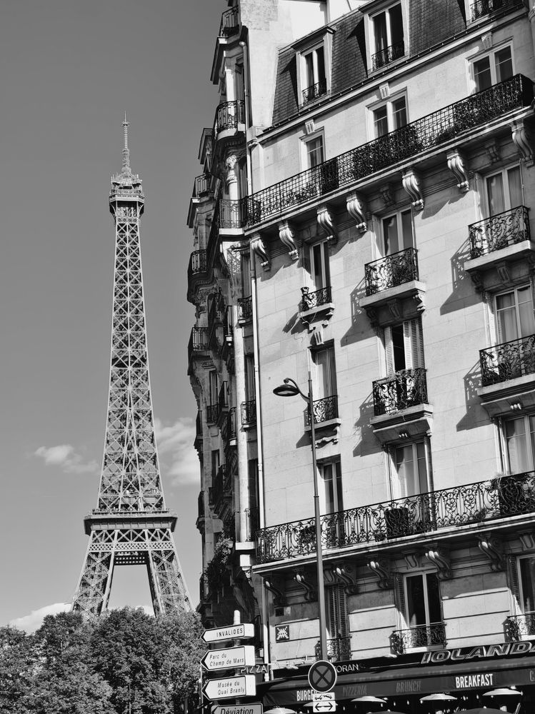 Photograph by Светлана Мишенина