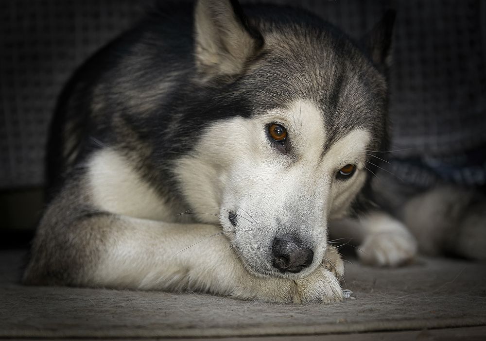 Photograph by Лев Постнов