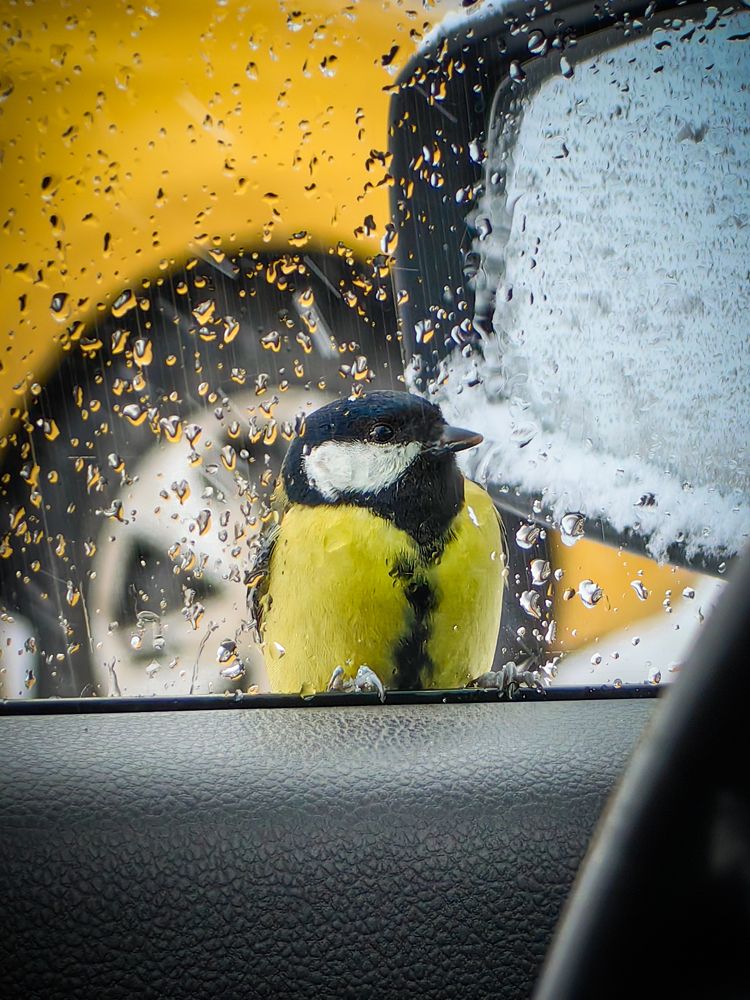 Photograph by Yuliya Karpova