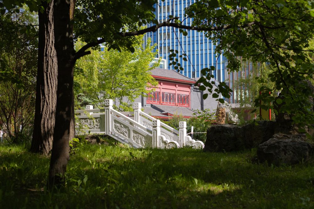 Photograph by Екатерина Каменцева