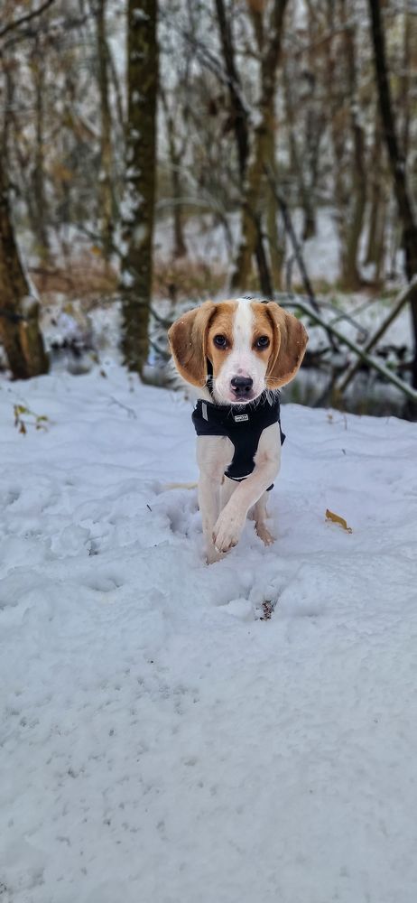 Photograph by Alena Smolianinova