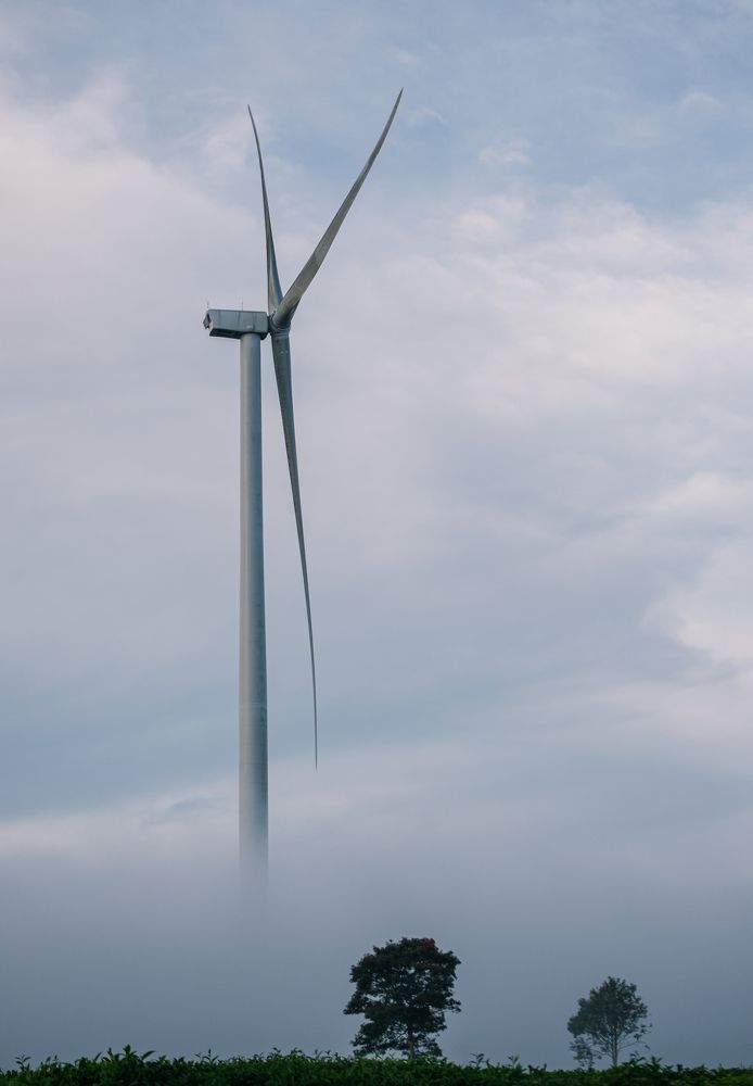 Photograph by May Nguyễn