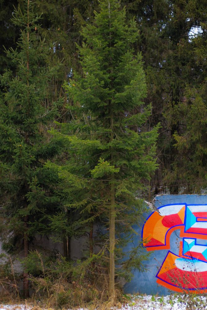 Photograph by Любовь Иванова