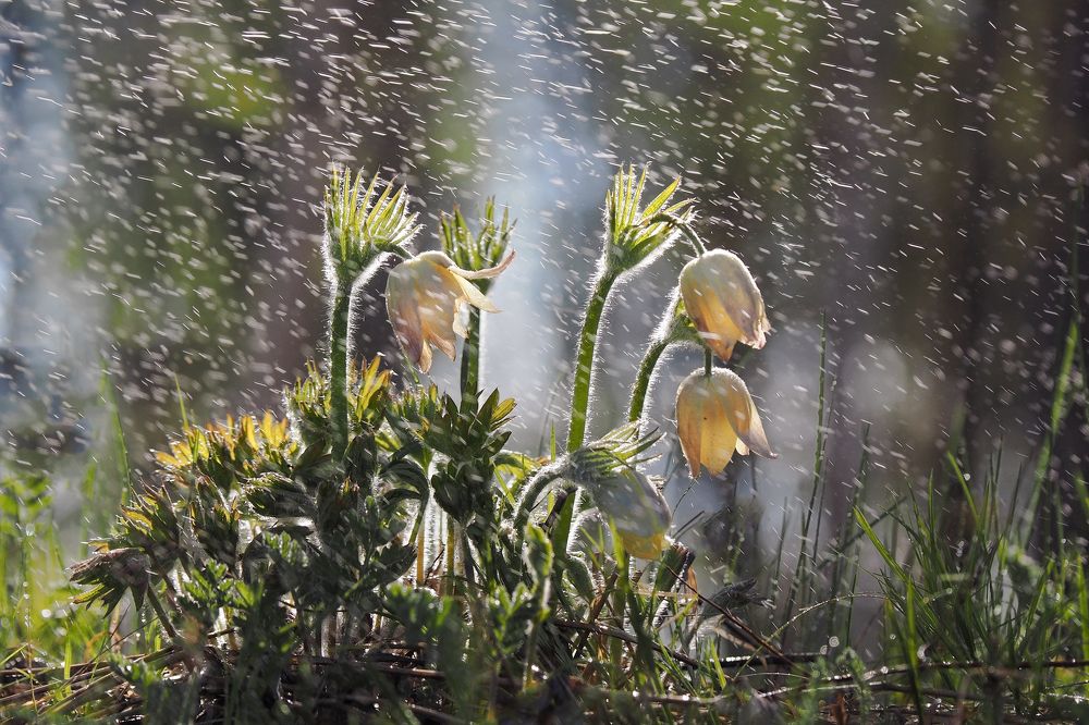 Photograph by Александр Попов