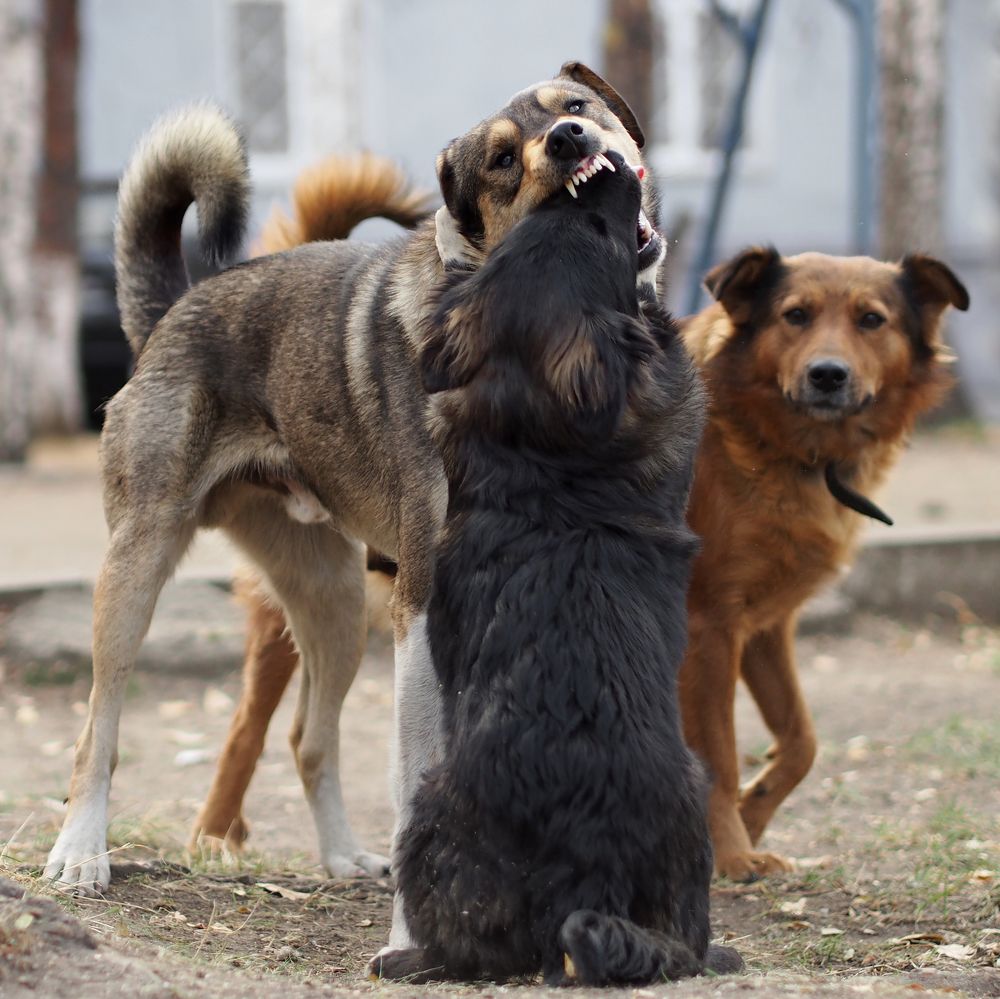 Photograph by Александр Попов