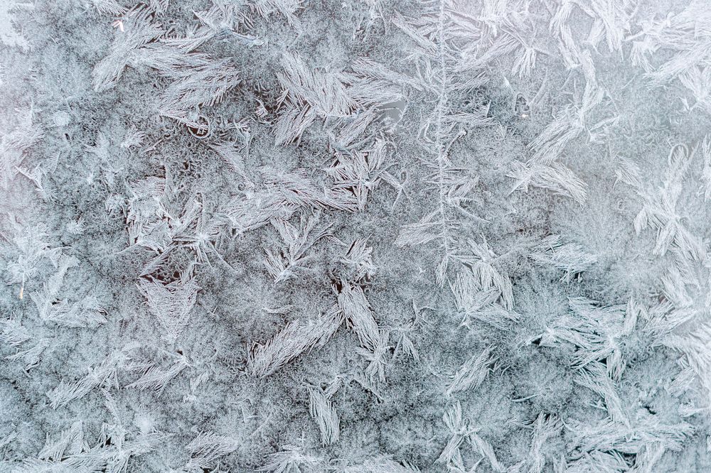 Photograph by Лина Матвеева