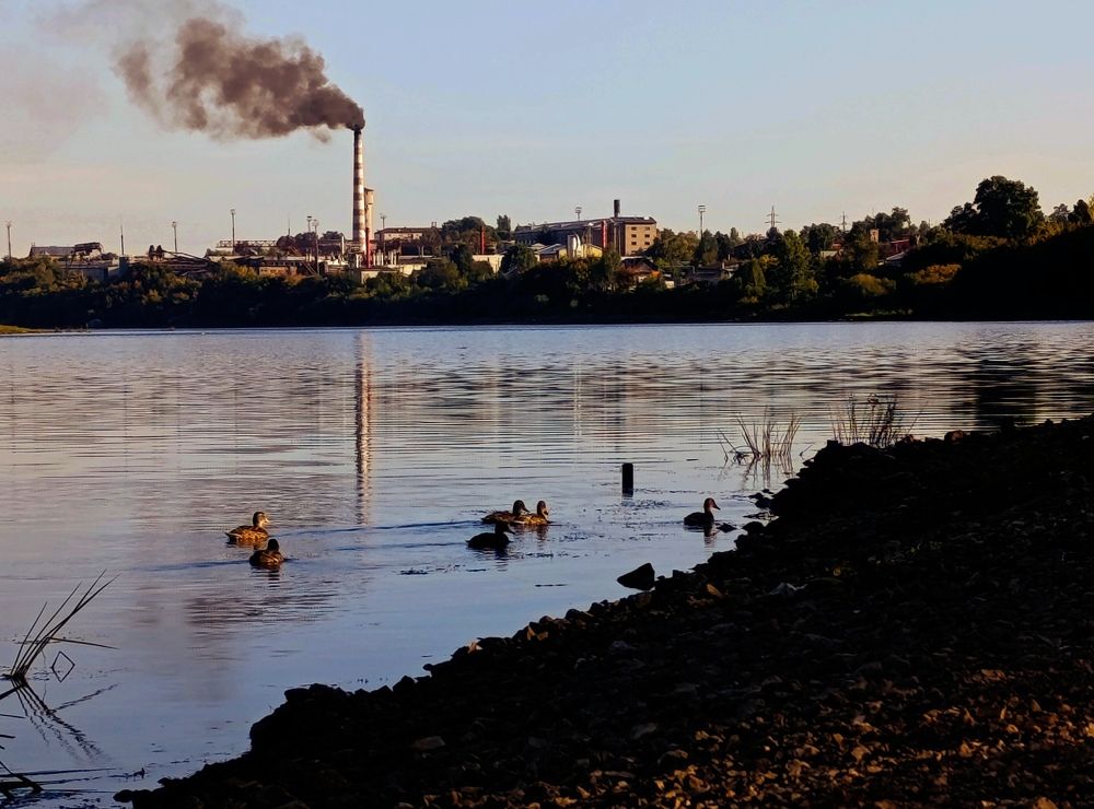 Дымящие трубы