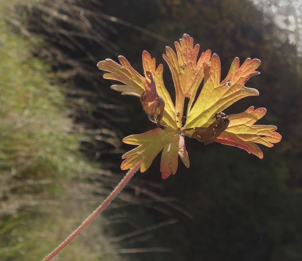 Photograph by Елена Жукова