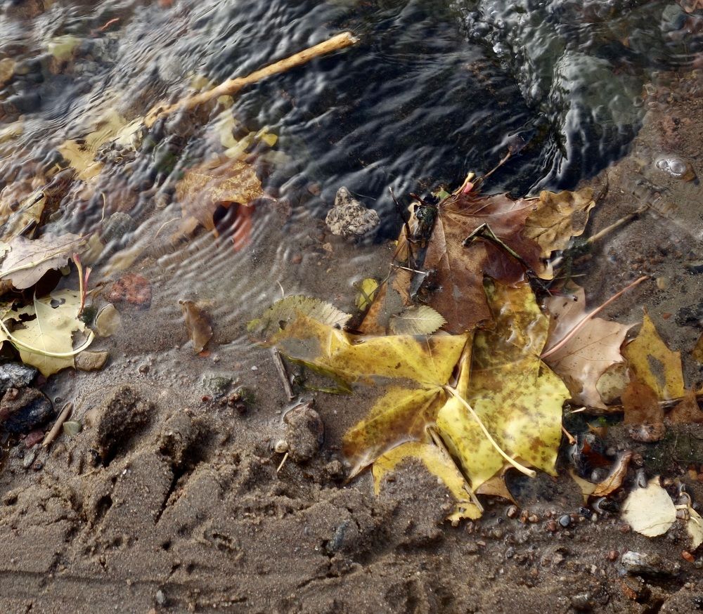 Photograph by Елена Жукова