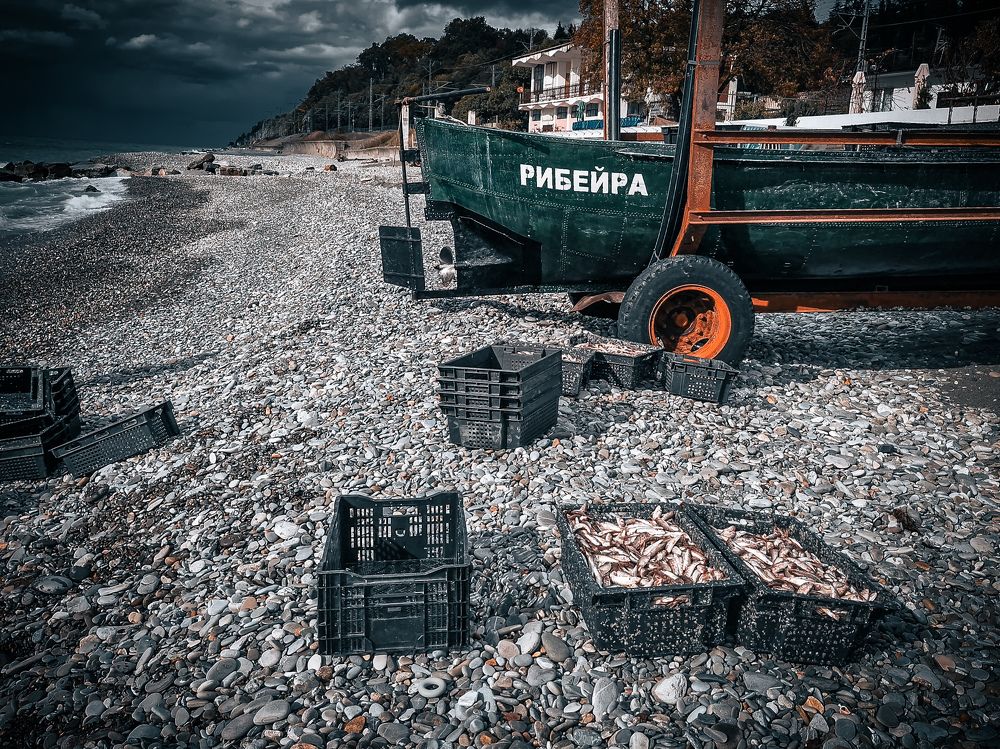 Photograph by Игорь Чечин