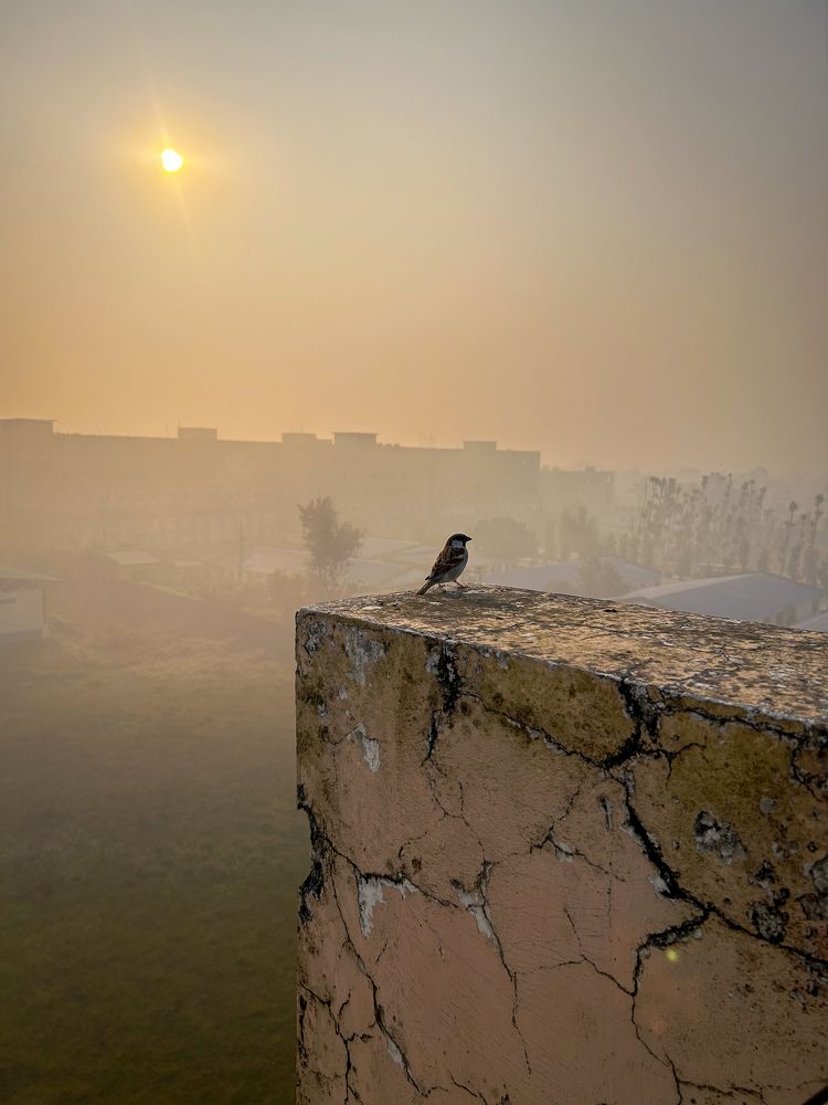 Photograph by Shaurav G