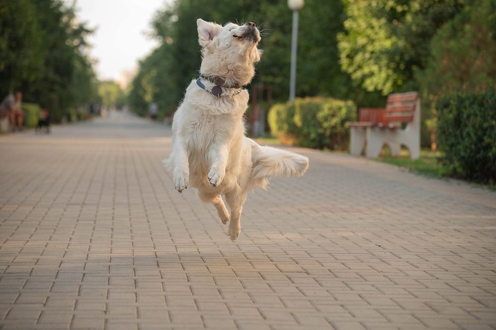 Photograph by Анастасия Мельник