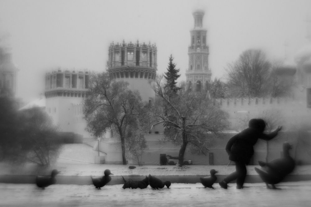 Photograph by Бондарев Александр