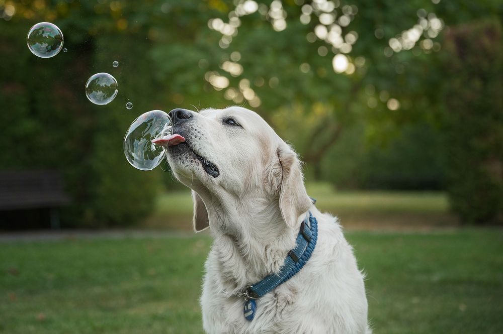 Photograph by Анастасия Мельник