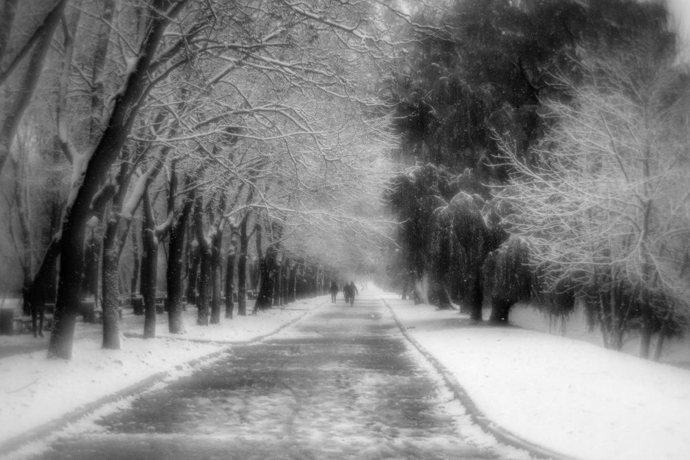 Photograph by Бондарев Александр