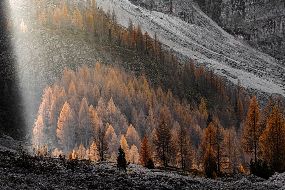 Photograph by Paolo Barbarini