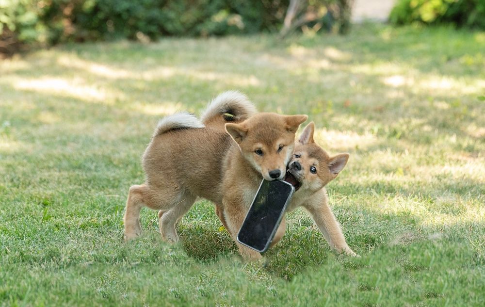 Photograph by Анастасия Мельник