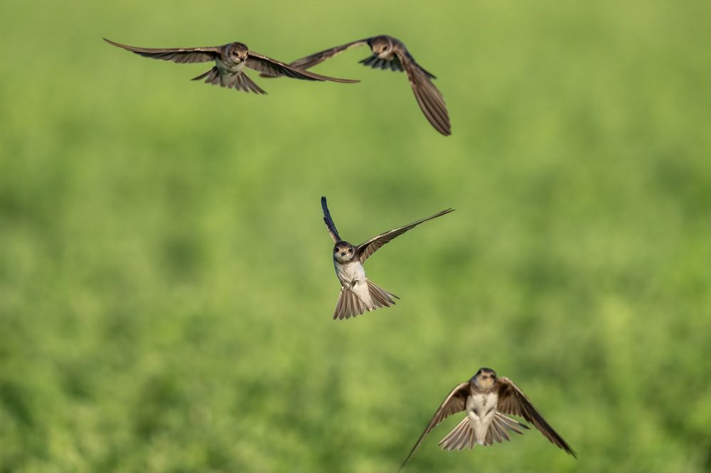 Photograph by Eren Aksoylu