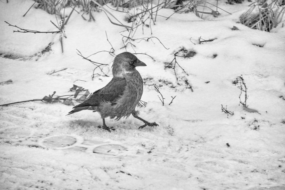 Photograph by Fedorov Denis